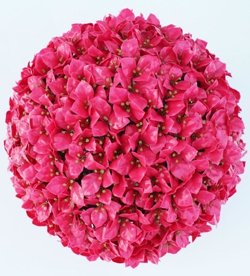 Kindergarten Dustproof Artificial Buxus Topiary Ball